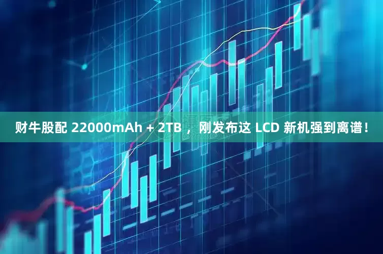 财牛股配 22000mAh + 2TB ，刚发布这 LCD 新机强到离谱！