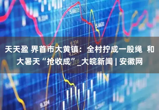 天天盈 界首市大黄镇：全村拧成一股绳  和大暑天“抢收成”_大皖新闻 | 安徽网