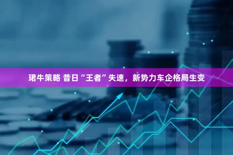 珺牛策略 昔日“王者”失速，新势力车企格局生变
