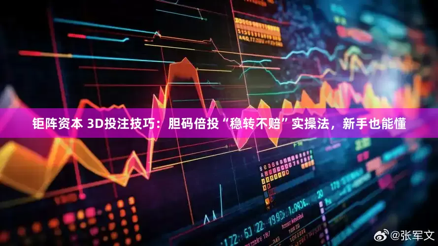 钜阵资本 3D投注技巧：胆码倍投“稳转不赔”实操法，新手也能懂