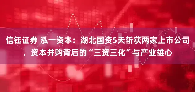 信钰证券 泓一资本：湖北国资5天斩获两家上市公司，资本并购背后的“三资三化”与产业雄心