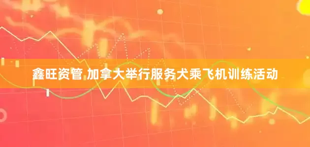 鑫旺资管 加拿大举行服务犬乘飞机训练活动