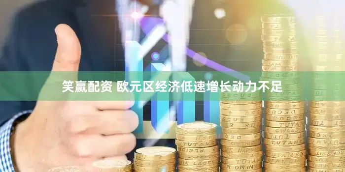 笑赢配资 欧元区经济低速增长动力不足